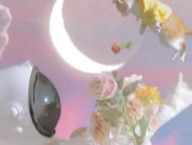 浪漫的英文句子文案