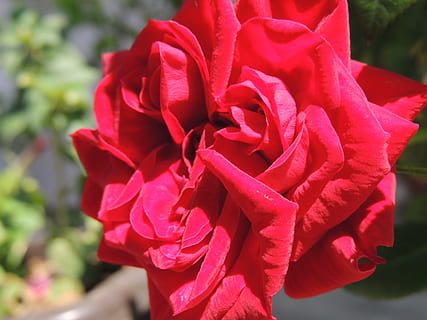 失恋励志名言名句文案