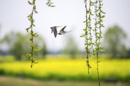 描写春风的优美句子文案摘抄