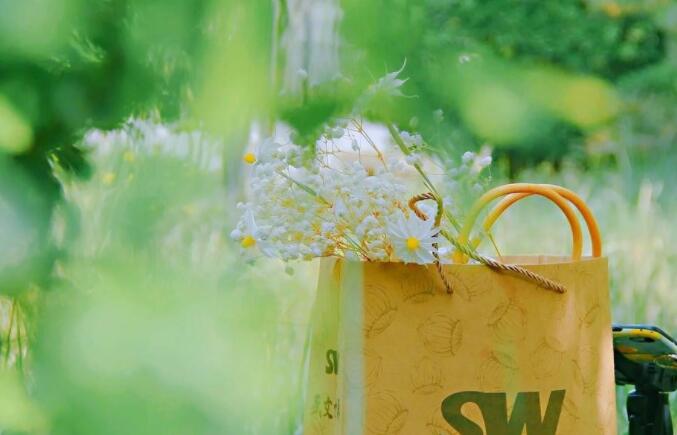 清凉一夏的优美句子文案