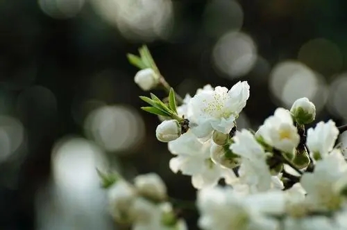 追悼故人的古诗词