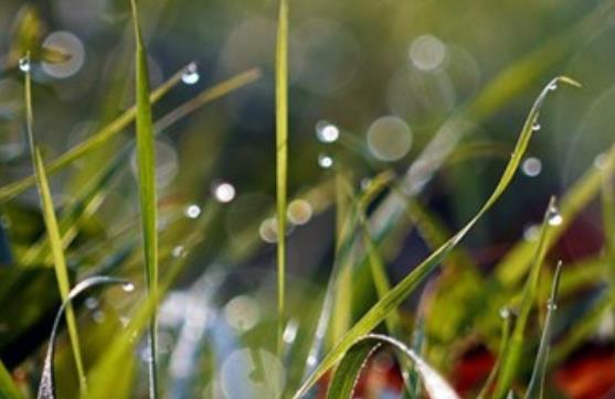 分手后温暖的句子文案