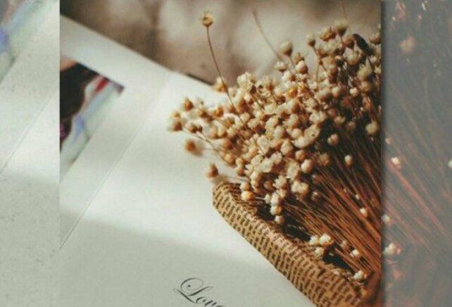 认真专注的样子最美说说文案