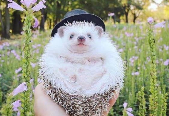 早安正能量简短句子文案