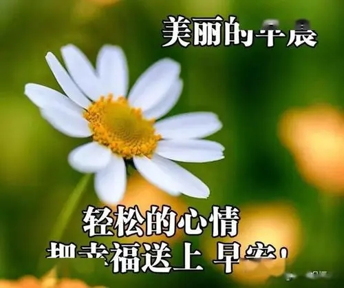 暖心温馨祝福语