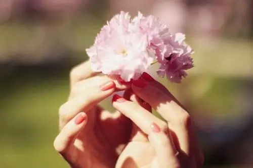 婚姻情感语录文案与感悟