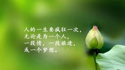 非常有道理的人生句子文案