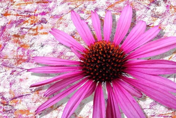 能量满满的早安语录文案