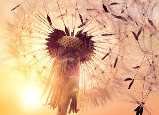 古风表达情感的句子文案说说心情