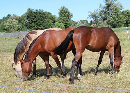 早上好最牵挂的人短句
