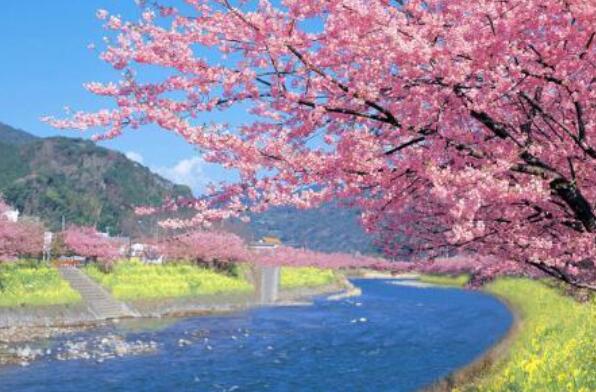 关于环保的标语