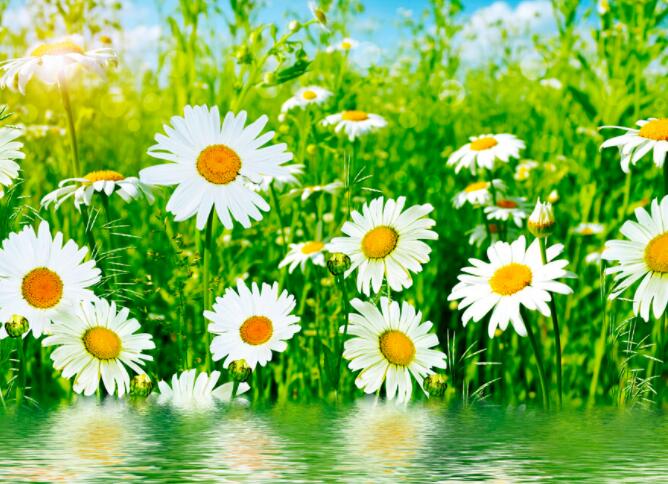 暖心上进的短句