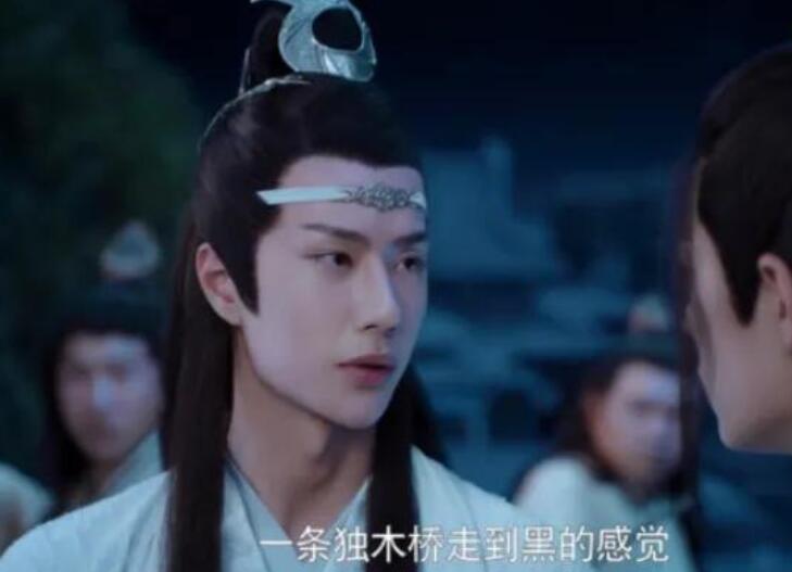 蓝忘机说过经典的语录文案