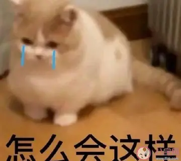 搞笑的损友朋友圈说说文案