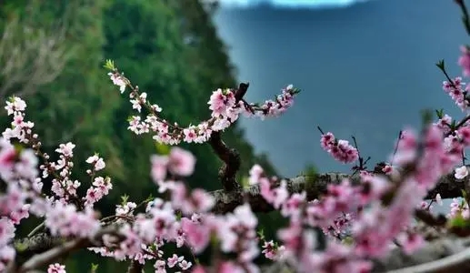 描写春风温柔的短句