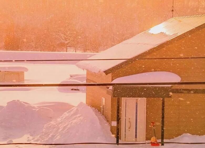 每日摘抄优美句子文案50字