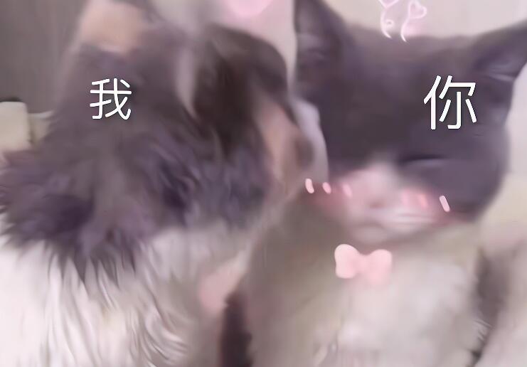 情侣朋友圈沙雕配文