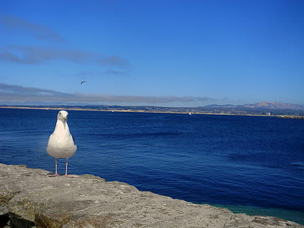 细节描写200字段落