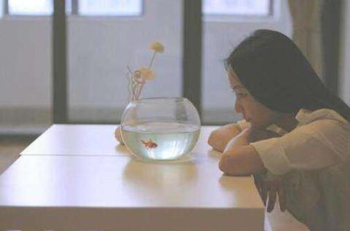 一句你忙吧伤感说说文案