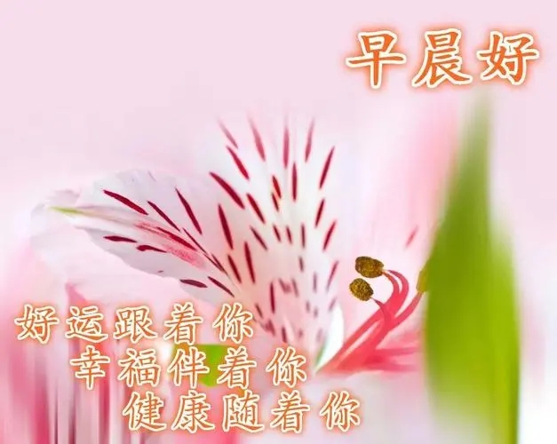 给心爱的早安温馨祝福心语