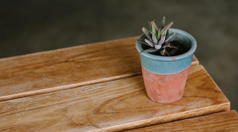 喜提房子的朋友圈