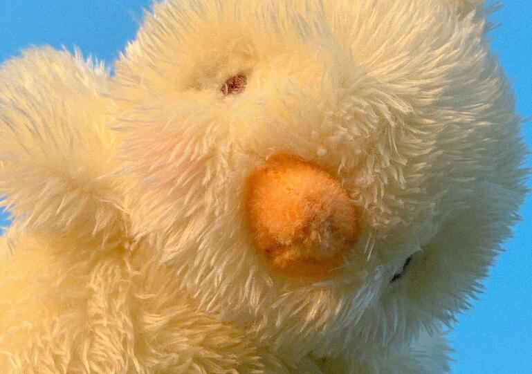 我是一个憨憨文案