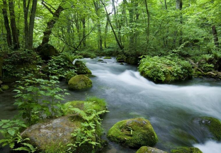 关于合作的诗句文案古诗词