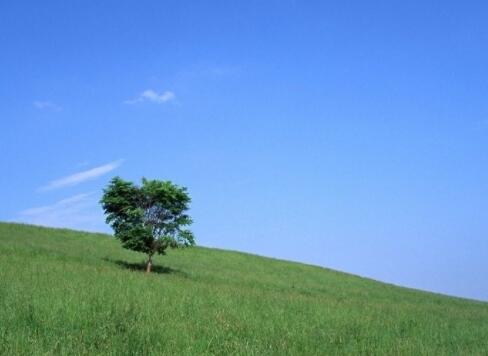 惊艳阅卷老师的句子文案
