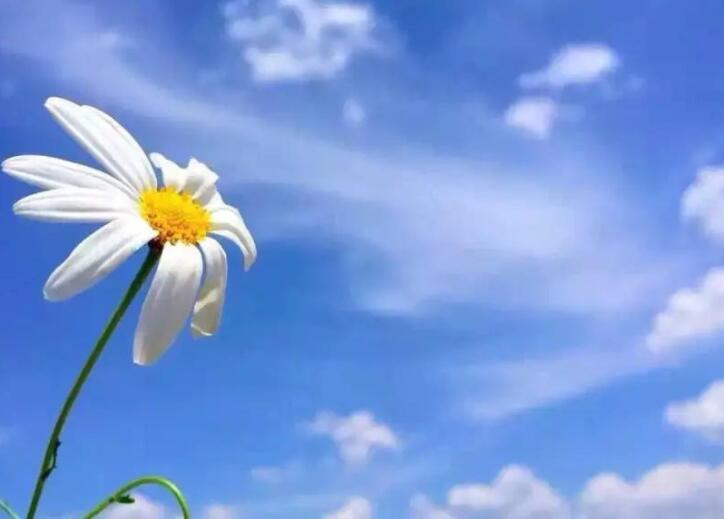 一年又一年唯美句子文案