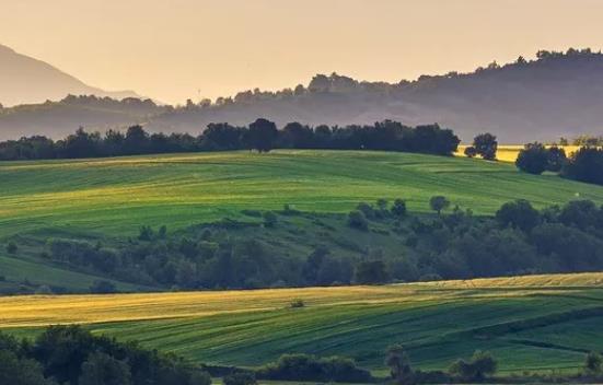著名女作家名言优美句子文案