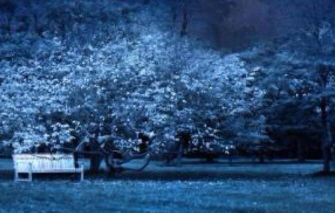 阴阳相隔最伤感的句子文案