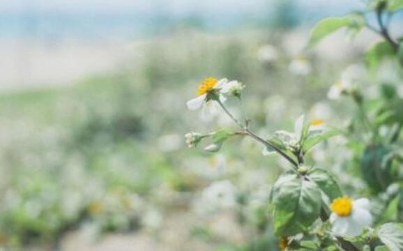 短暂的离别的心情短语