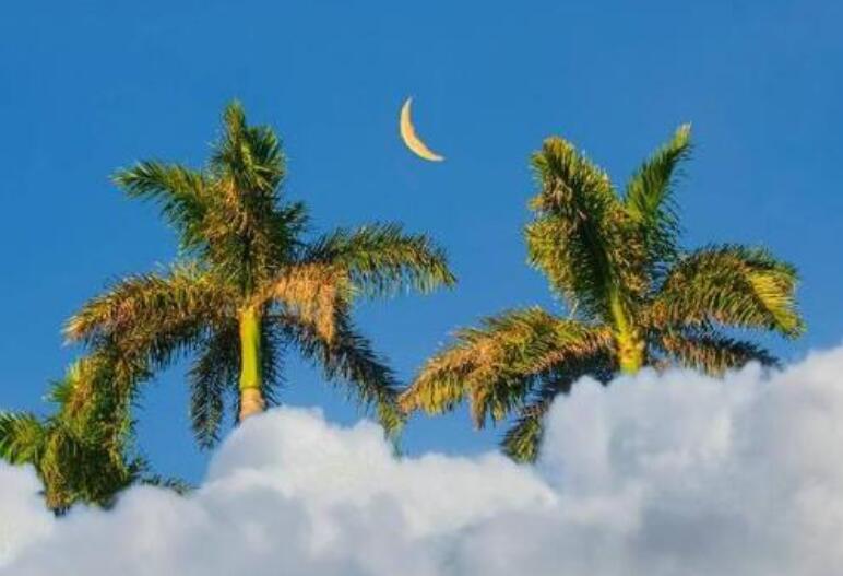 富有哲理的唯美短句