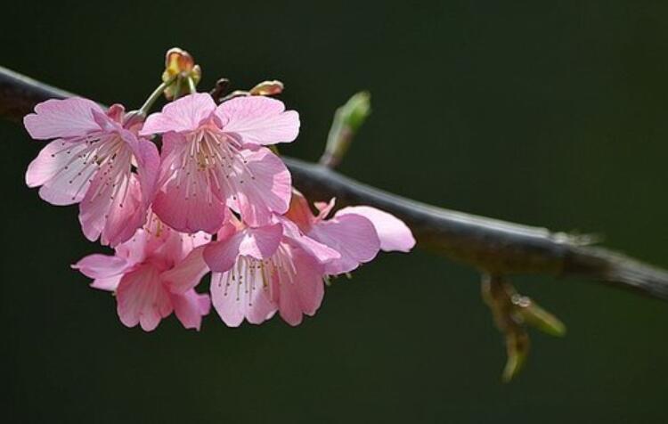 早上好牵挂友情句子文案