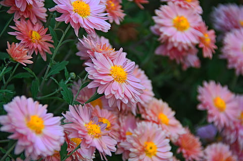 朋友圈表白女朋友的话简短