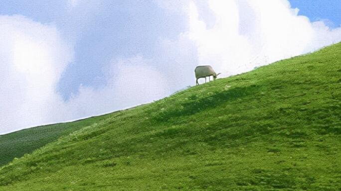 开启美好一周的句子文案