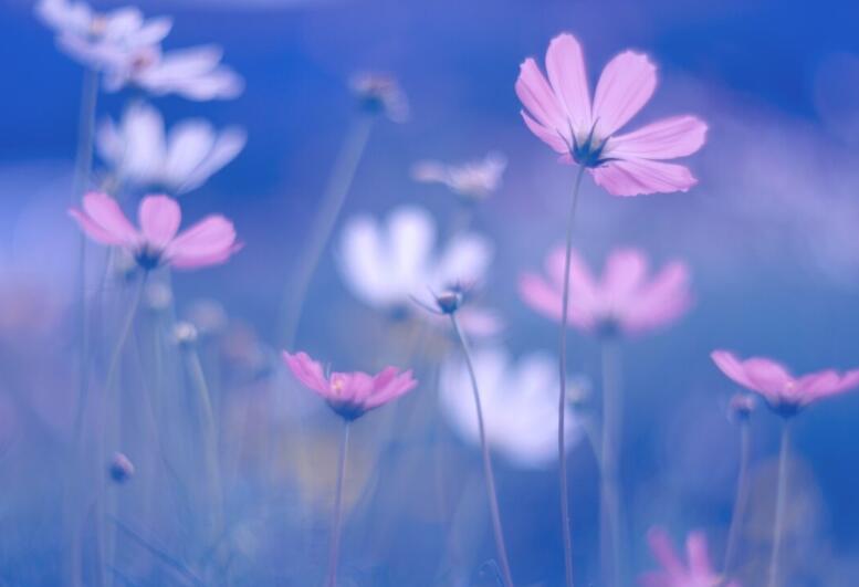 早上哲理句子文案唯美简短