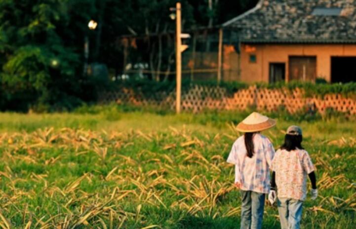 向往的生活3金句鸡汤