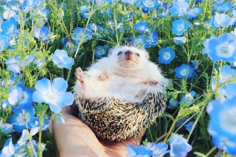 经过努力而蜕变的句子文案