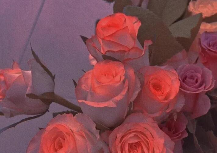 买了一束花怎么写文案