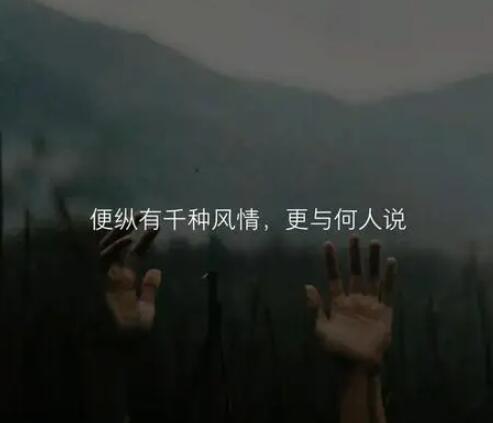 寂寞的句子文案说说心情短语