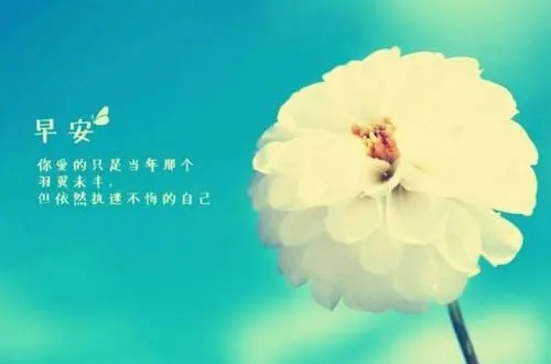 给情人的早安暖心短句