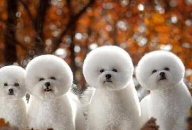 感慨单身的美好的句子文案