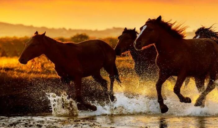 一首激励人心的诗