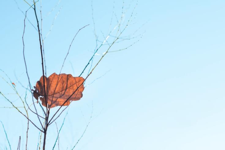 修辞句摘抄带出处