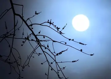 一个人孤单赏月的诗句文案