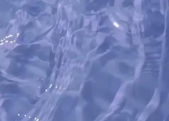 关于学习的句子文案