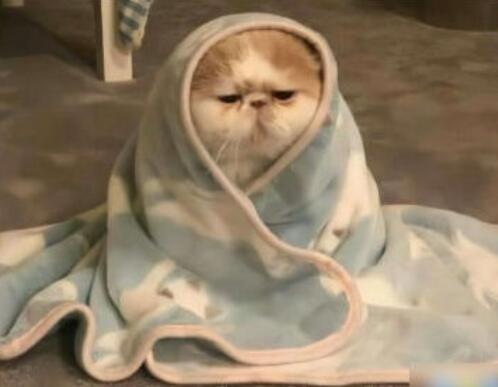 感冒了不舒服的微信说说文案