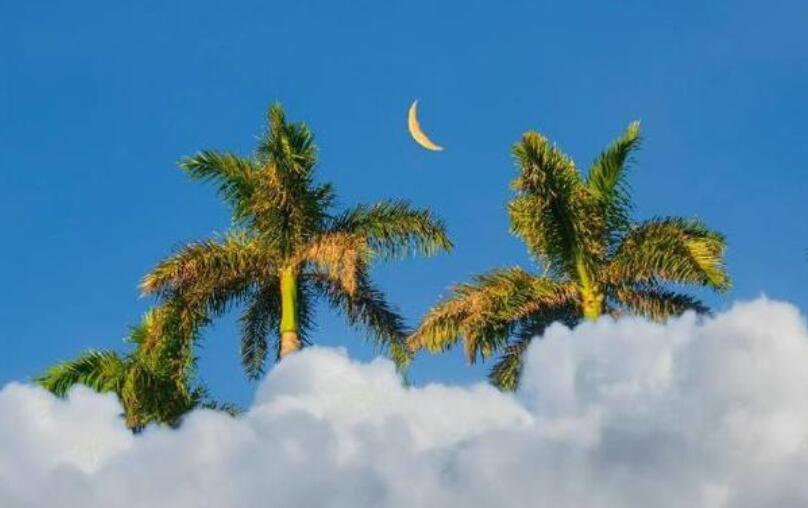 心里有阳光的句子文案说说心情短语