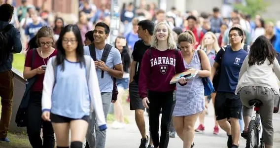 生活粗糙不精致的句子文案